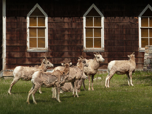 Not dressed in their Sunday best