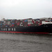Containerschiff  YANG MING  UBERTY  auf der Elbe
