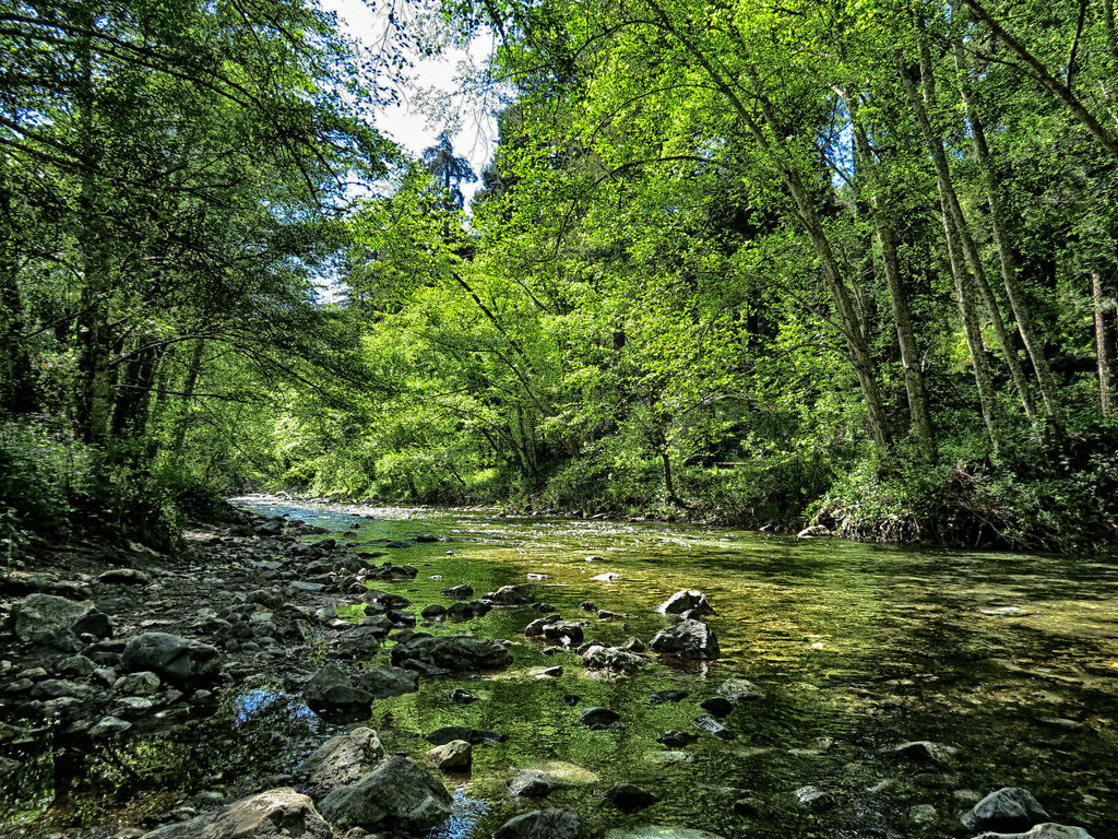 The Big Sur River