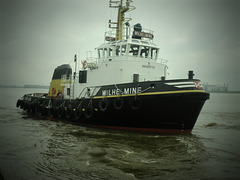 Schlepper   WILHELMINE