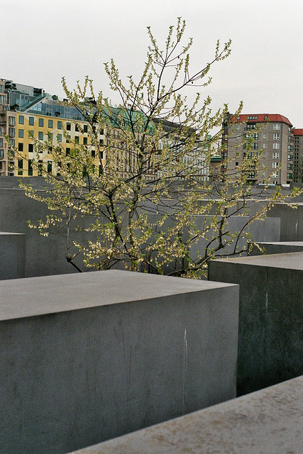 Holocaust Memorial Berlin