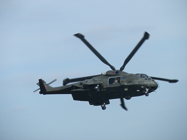 aaacsmay42014 (1342)