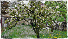 MAILLEZAIS Vendée MAILLEZAIS Vendée