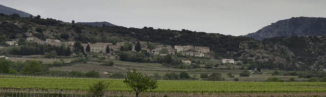 Arboras depuis Saint Saturnin