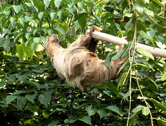 Zoo Leipzig - Gondwanaland -