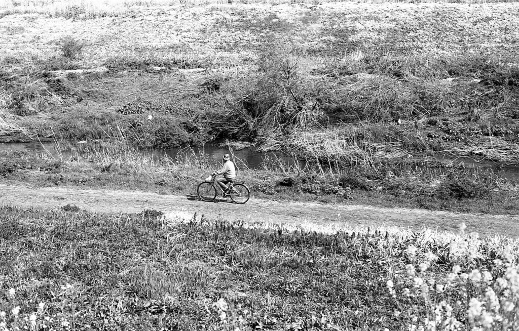 Pottering along the stream