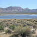 Lower Pahranagat Lake