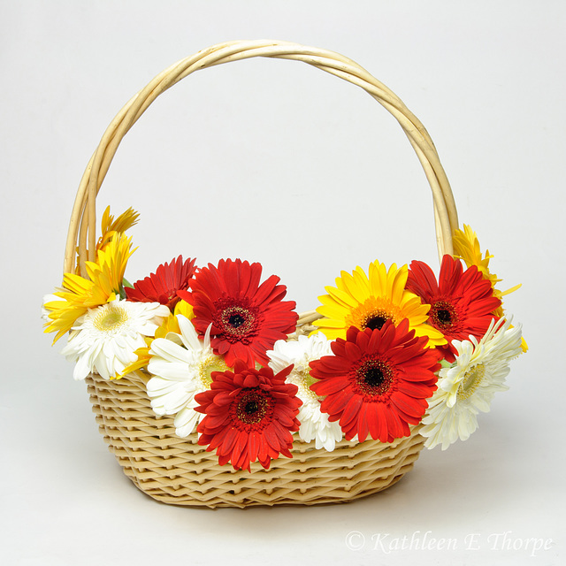 Gerbera Daisy Basket