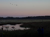 Sandhills @ Big Marsh Lake