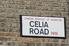 Celia Road, N19
