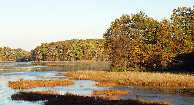 Big Marsh Lake