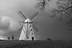 Tuulik / Windmill at Vihula manor