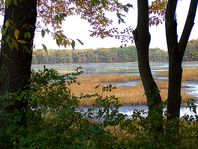 Big Marsh Lake