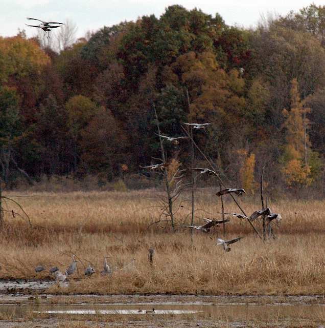 Sandhills Landing