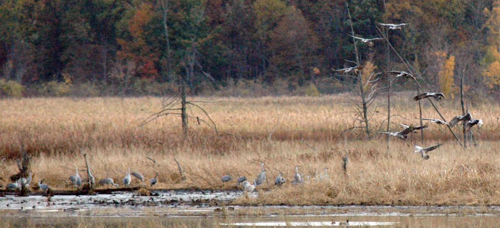 Sandhills Landing