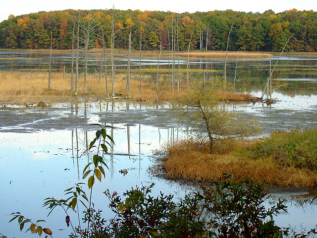 Big Marsh Lake Big Marsh Lake