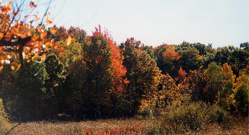 Autumn @ Baker Sanctuary