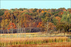 Autumn Comes to Big Marsh Lake