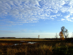 Sky over Big Marsh Lake