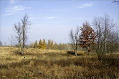 Baker Sanctuary