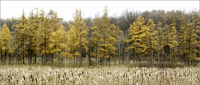 Baker Sanctuary