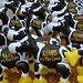 cattle at the fair