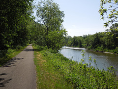 the Root River Trail