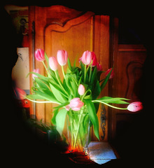 Printemps