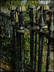 iron railings