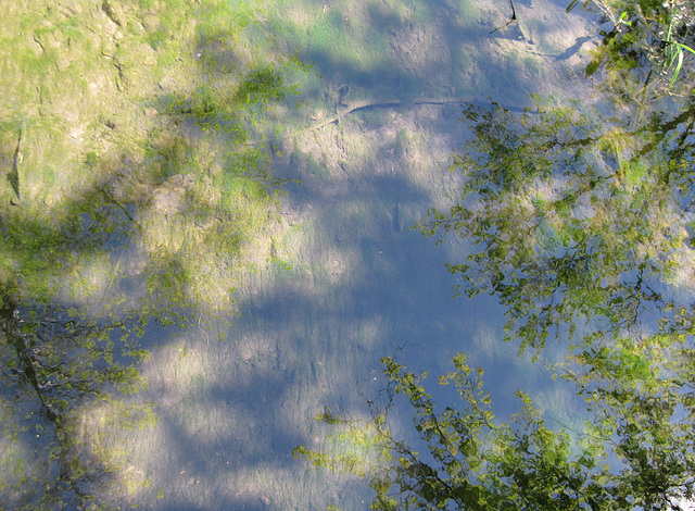 stream, spring, sky