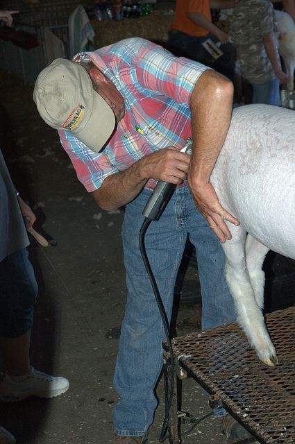 shearing