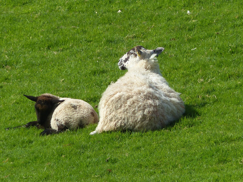 Mother and Child (2) - 15 April 2014