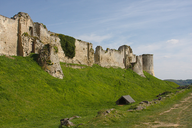 Château de Coucy