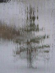 rained glass window