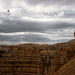 Bryce Canyon - Overcast