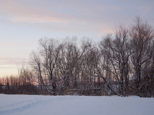 at the subtle edge of a colorful sunset