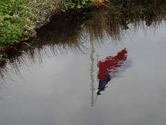 the Chilean flag