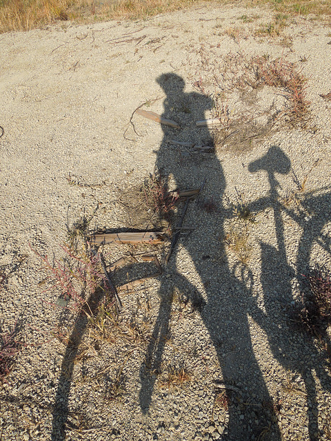 self portrait with bicycle