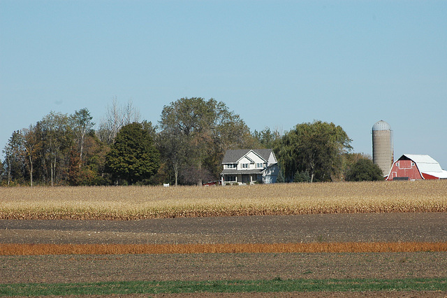 across the fields