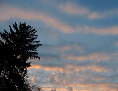 Striped Skies