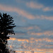 Striped Skies