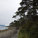 shoreline