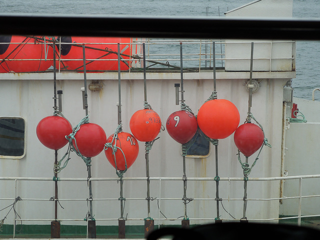 as we dock in Punta Arenas