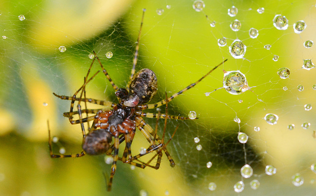 Unity amidst the raindrops!!