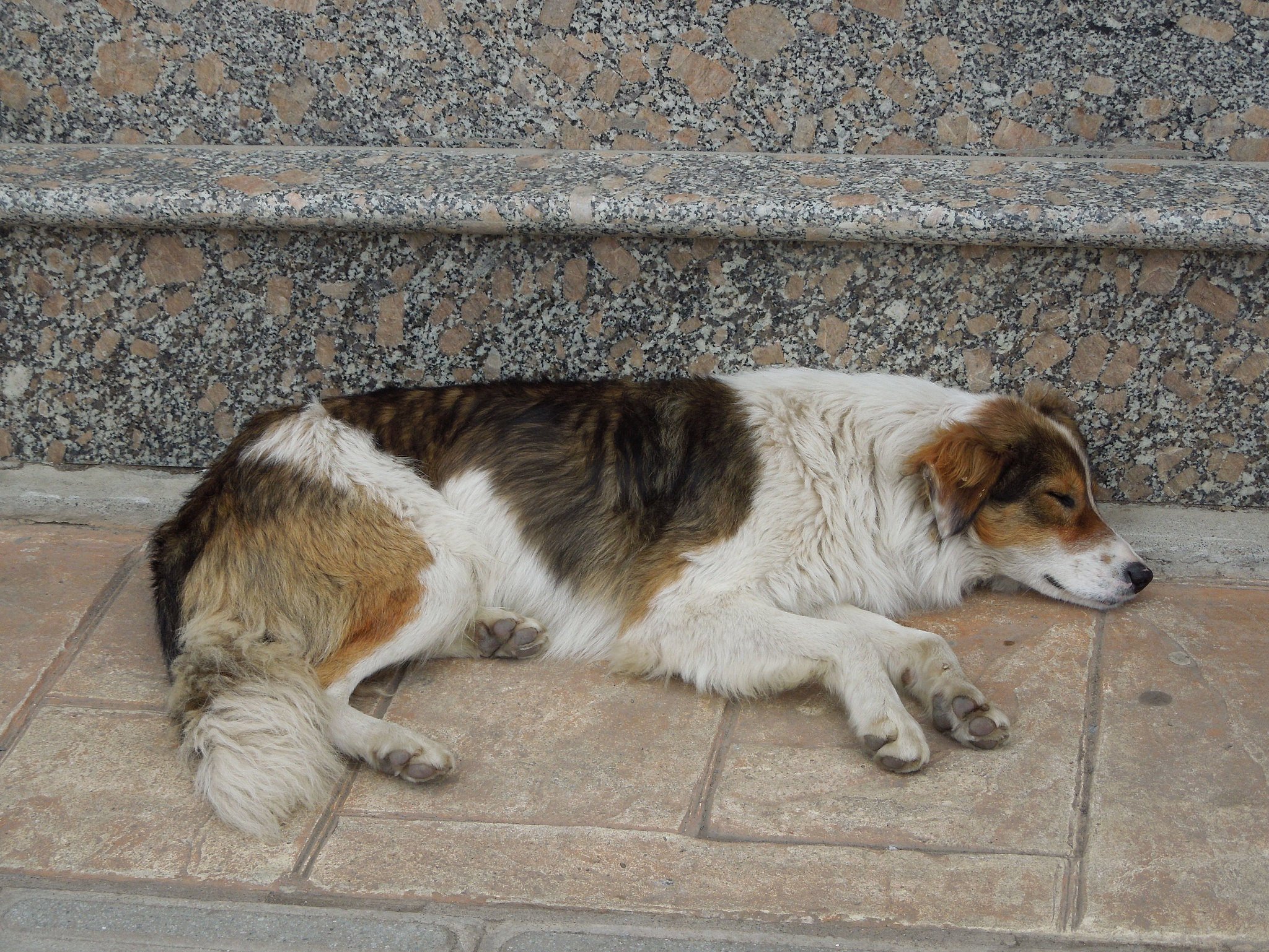 citizen of Punta Arenas
