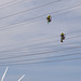 Palm Springs high wire workers (1760)