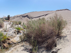 0510 140040 Wilhelm's Metate Ranch