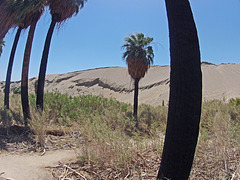 0510 135656 Wilhelm's Metate Ranch