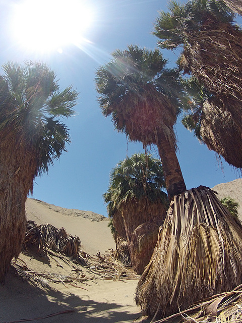 0510 135240 Wilhelm's Metate Ranch