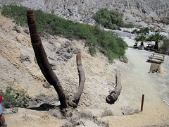 0510 133026 Wilhelm's Metate Ranch